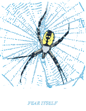 [Garden Spider]